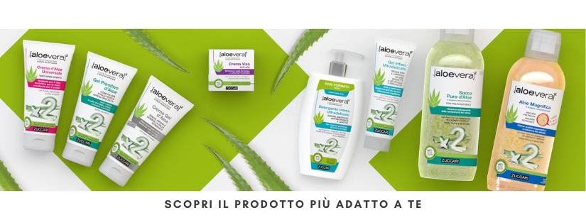 aloe-zuccari