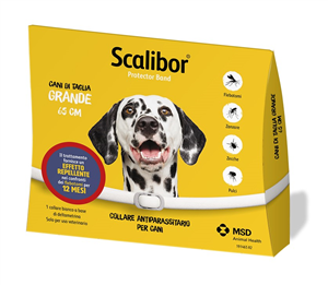 SCALIBOR PROTECTOR BAND*BI65CM - farmavitality.it