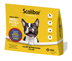 SCALIBOR PROTECTOR BAND*BI48CM - farmavitality.it