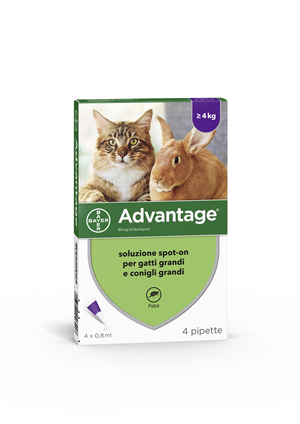 ADVANTAGE*4PIP 0,8ML SPOTON - farmavitality.it