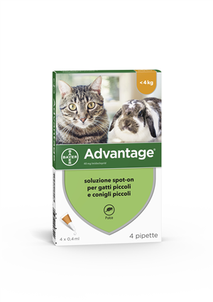 ADVANTAGE*4PIP 0,4ML SPOTON - farmavitality.it