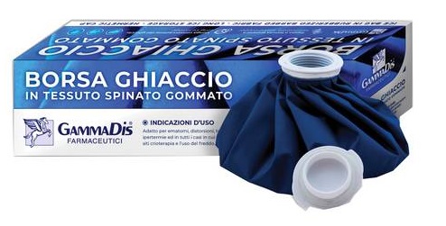 BORSA GHIACCIO TESSUTO GOMMATO 28 CM - farmavitality.it