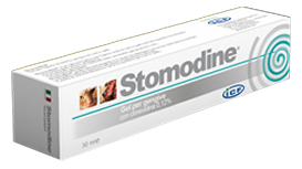 Stomodine Gel Per Gengive 30 ml - farmavitality.it