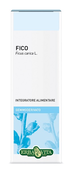 GEMMODERIVATO FICO 50 ML - farmavitality.it