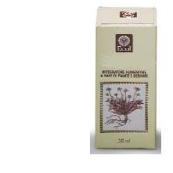 GINKGO BILOBA ESTRATTO ANALCOLICO 50 ML - farmavitality.it