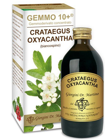 GEMMO 10+ BIANCOSPINO LIQUIDO ANALCOLICO 200 ML - farmavitality.it