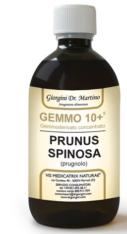 GEMMO 10+ PRUGNOLO 500 ML LIQUIDO ANALCOLICO - farmavitality.it